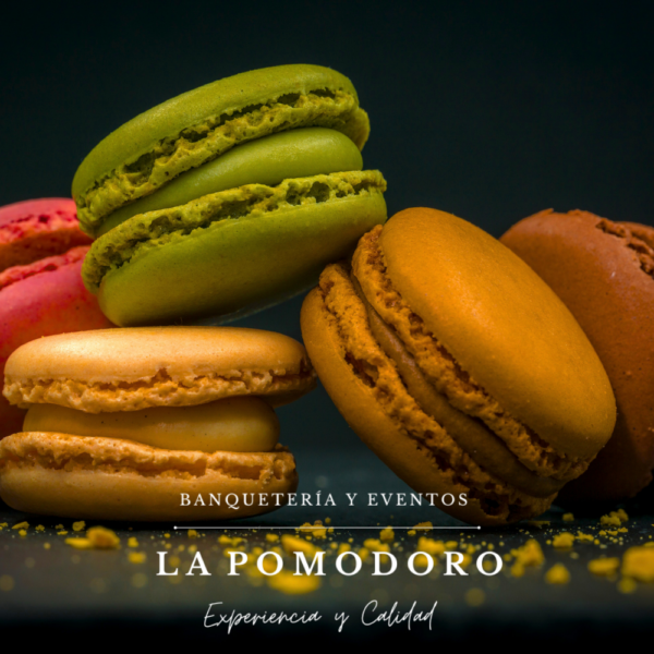 Cajita con 24 macarons surtidos 6 sabores surtidos