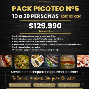 PACK PICOTEO CÓCTEL N°5 SOLO SALADO (10 A 20 personas)