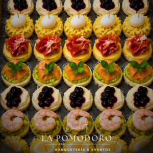 Pack - 108 canapés premium (ají de gallina, salmón, camembert, camarón, jamon serrano)